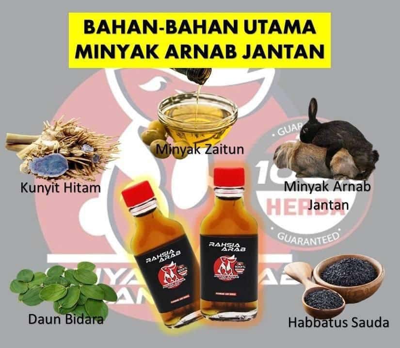 MINYAK ARNAB JANTAN 2 MINYAK ARNAB JANTAN